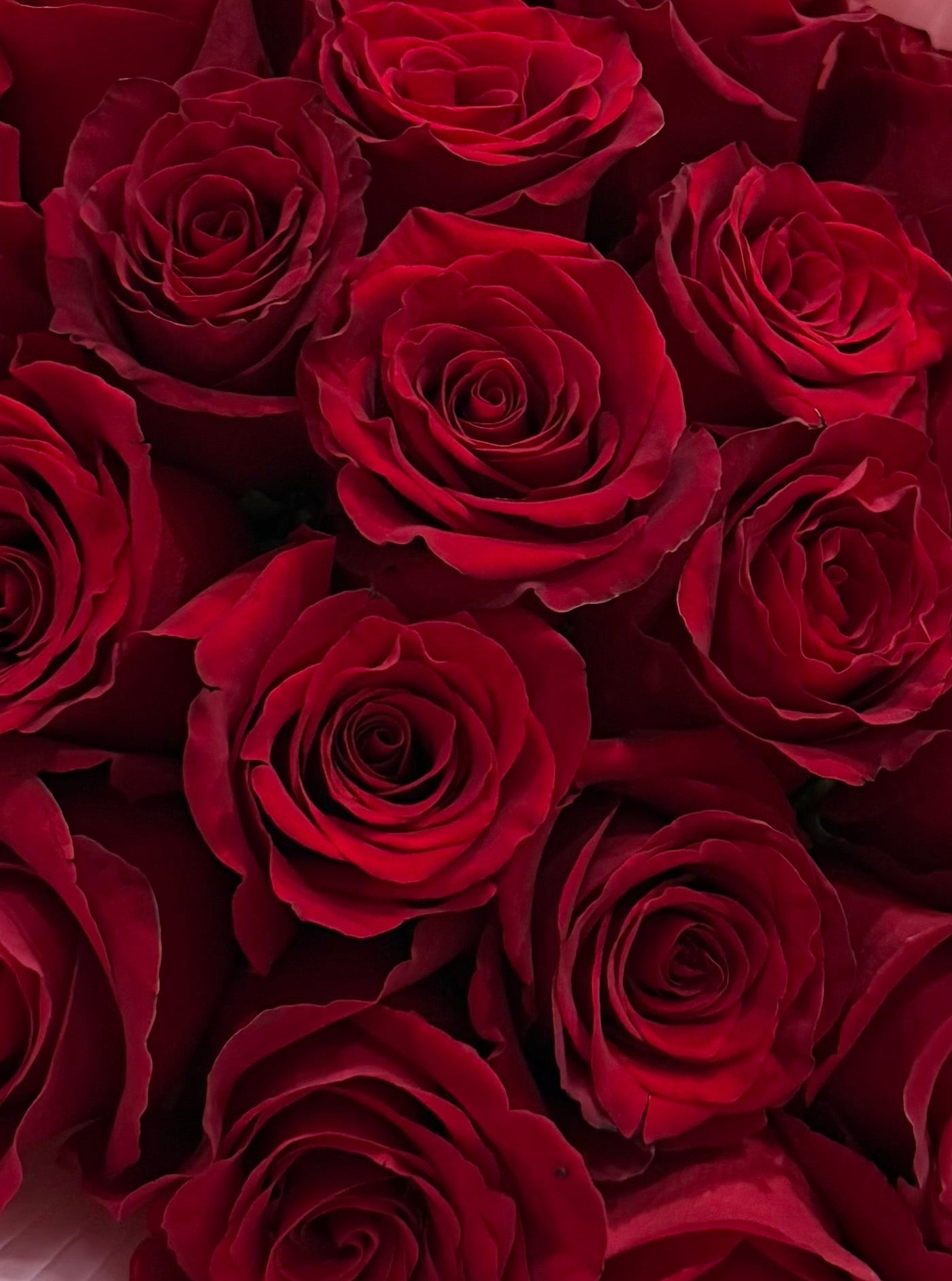 I. Mother's Day Love Rose Bouquet