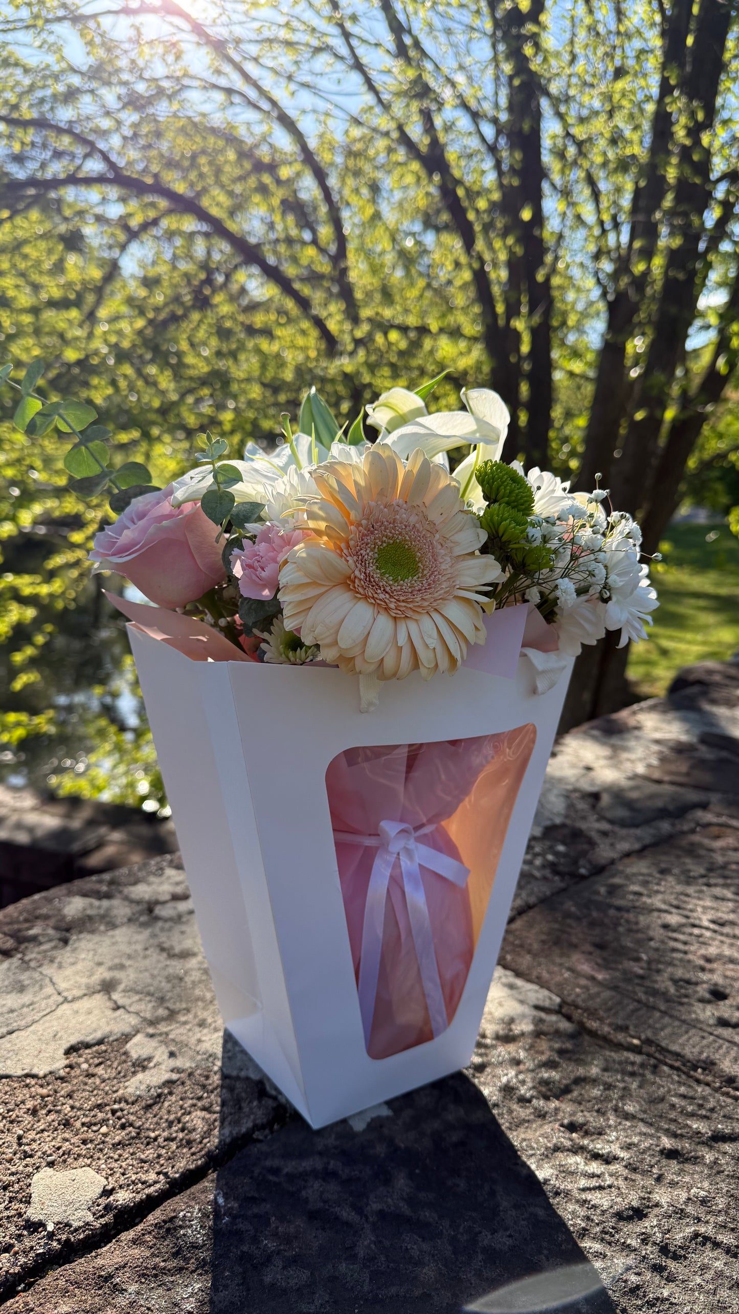I. Mother’s Day Garden Gift Blooming Bag